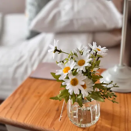 Πανσιόν Cartref Καρλάιλ